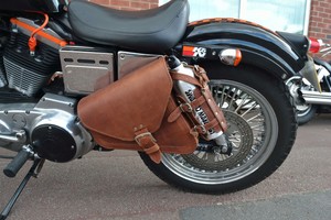 sportster panniers