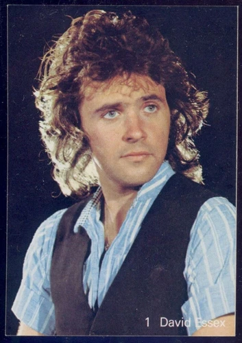 1970s Pop Rock Music Musik Cards Sammelbilder - Bands, musicians & singers