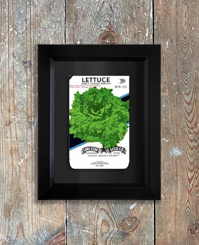 Vintage Unused Seed packets in a hand made framed vegetable Lone Star American - Picture 34 of 95