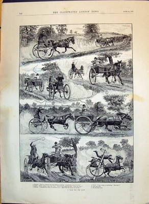 Alter 1893 Race Dust Pferde Wagen Fitzowl Yokel Dame Blick Spiegel Seve Viktorianisch