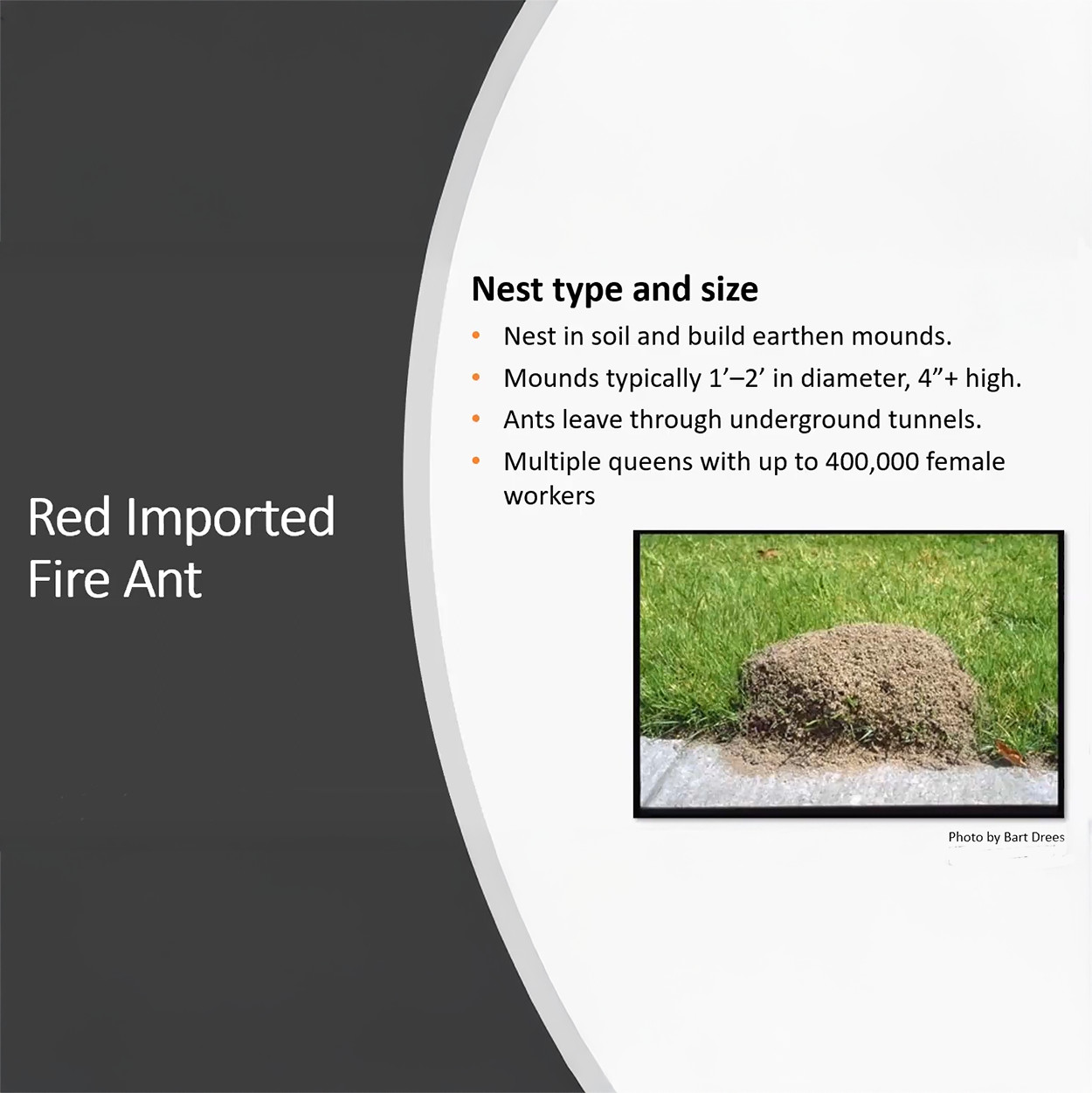 Extinguish Plus Fire Ant Bait Granules 1.5 Jug by Zoecon