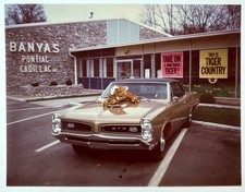 Pontiac Dealership Window Sign Banners Wide Track Tiger Tiger Country Pair X2