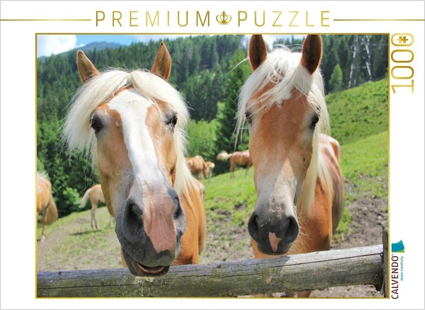 Calvendo Puzzle The Two | 1000 Pieces, Finished Size 25.2 × 18.9 In (64 × 48 Cm)-image