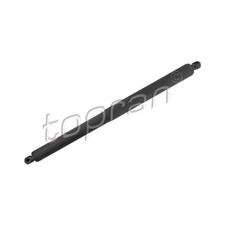 Verin de hayon / de capot BMW X5