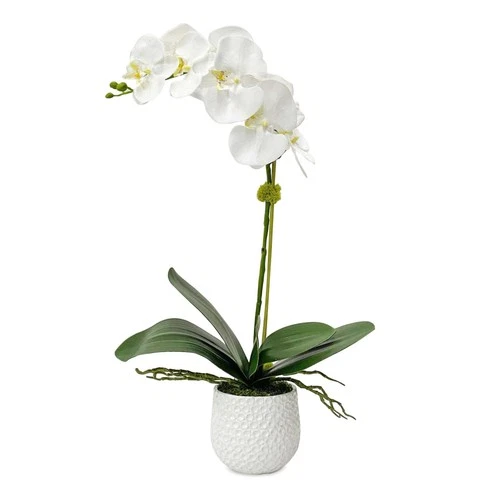Cami  - 24 inch Orchid - 14 inches wide by 14 inches deep Accessories Uttermost - Picture 1 of 5