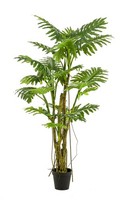 Artplants KüNstlicher Philodendron Selloum Edhem, 195Cm
