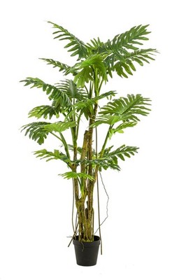 artplants Künstlicher Philodendron Selloum EDHEM, 195cm