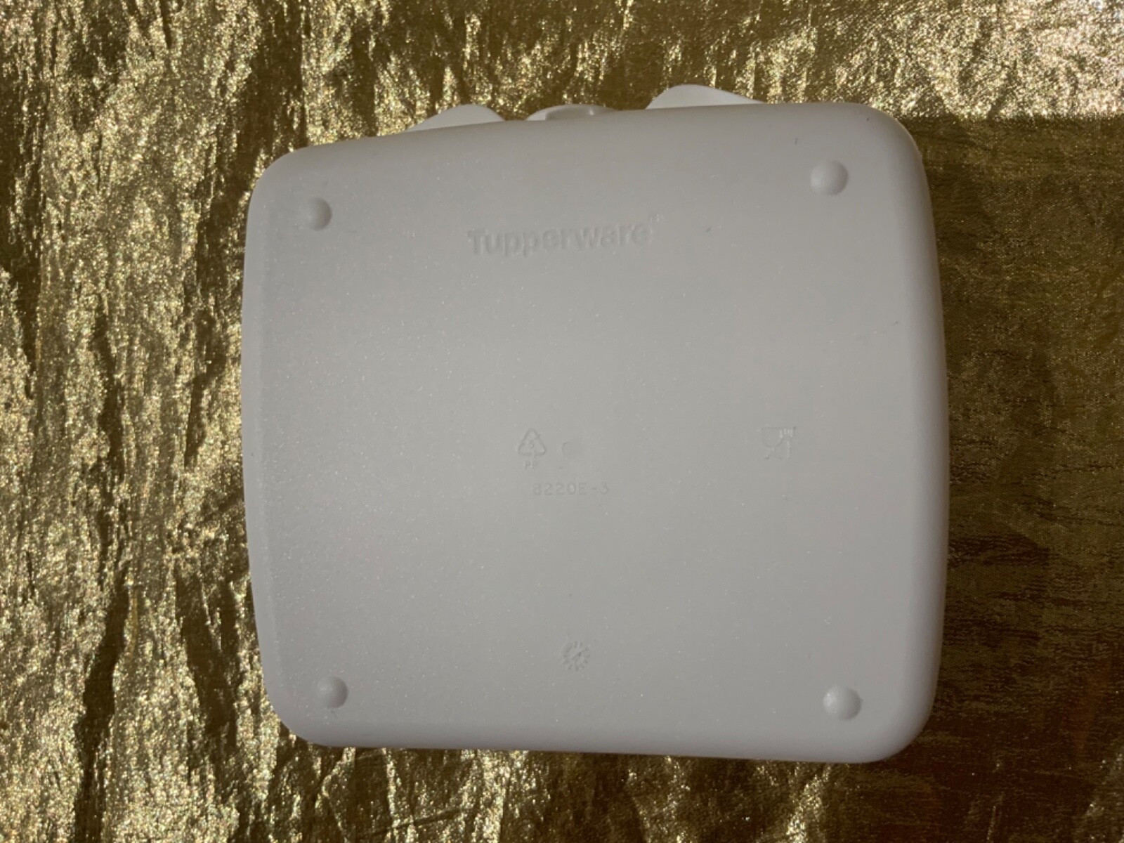 New Tupperware Sandwich Keeper in a Bright and Beautiful Woman of Today Theme