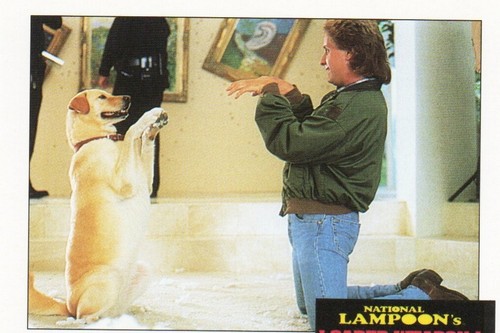 Tarjetas coleccionables individuales de armas cargadas de National Lampoon y National Lampoon - Imagen 94 de 146