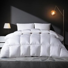 Feather Down Comforter Queen Size Duvet Insert, Light Weight Queen All Season 
