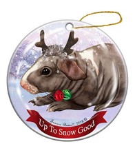 Holiday Pet Gifts Guinea Skinny Hairless Porcelain Christmas Ornament