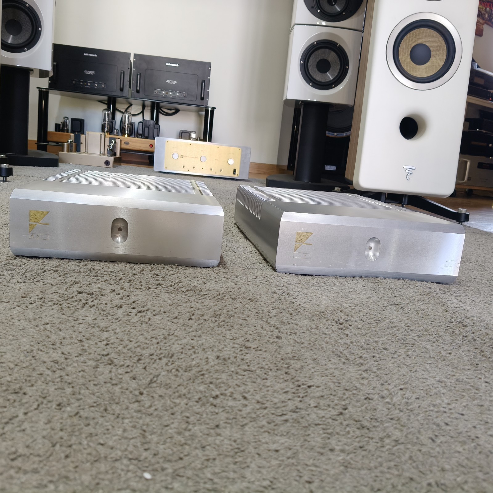 Coppia amplificatori di potenza monoblocco Ayre Boulder MX-R