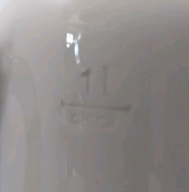 Picture 4 of 11