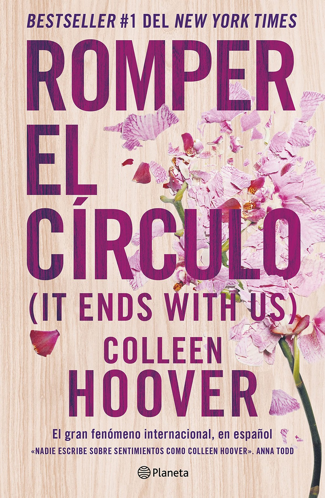 Romper el Círculo / It Ends with Us (Spanish Edition)-image