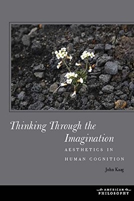 THINKING THROUGH THE IMAGINATION: AESTHETICS IN HUMAN By John Kaag - Hardcover