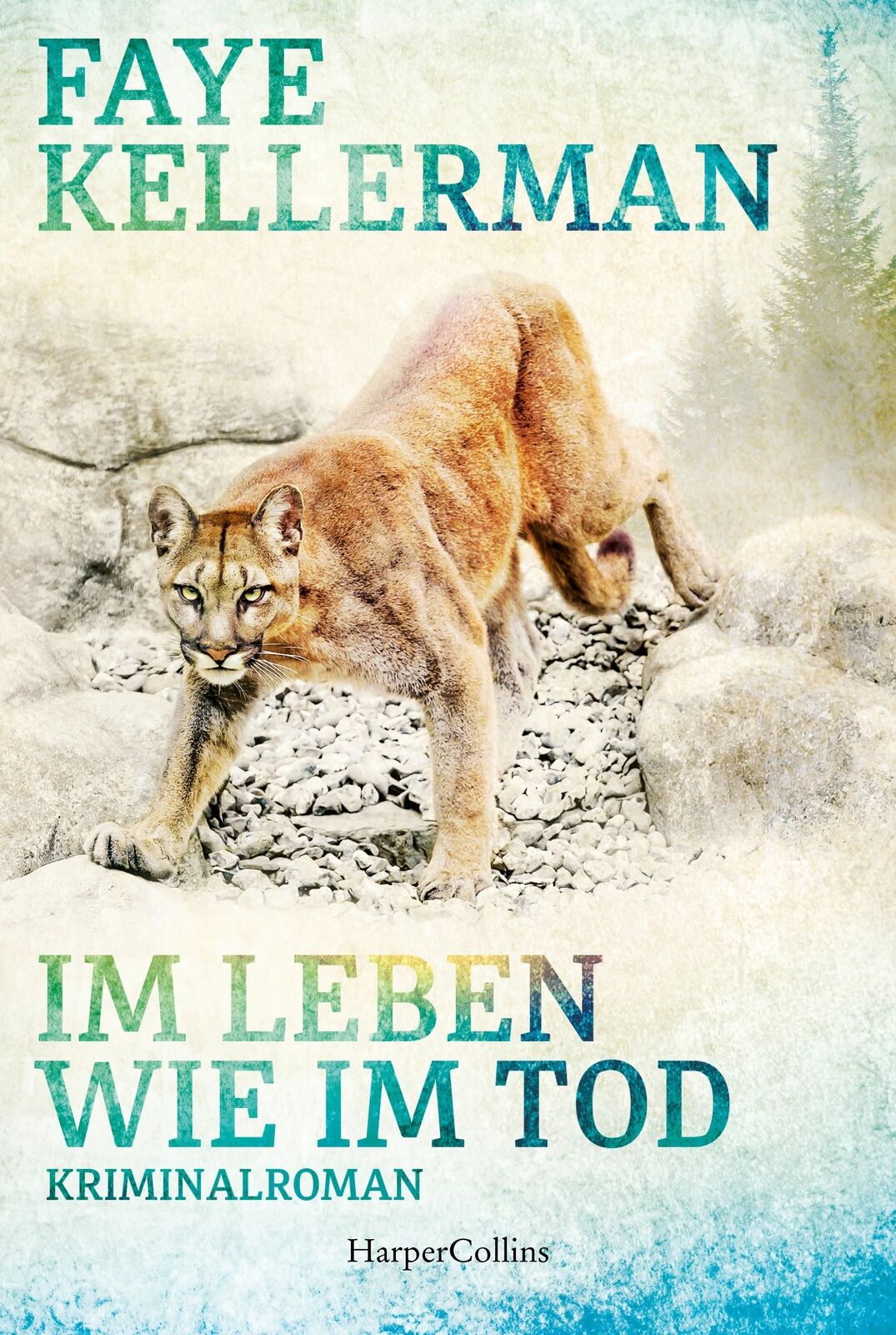 Thumbnail - Leben Wie Tod