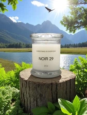 NOIR 29 Le' Labo type (dupe)  By CHRISTMAS is EVERYDAY candles 10 oz