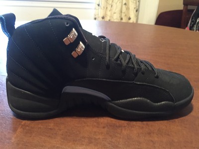 jordan 12 nubuck 2003