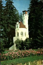 Romania Vatra Dornei August 23 mineral water spring ~ vintage postcard  837