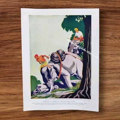 Vintage 1930er Elefanten von Burma Wald Elefant Buch Kunstdruck von Martin Jones