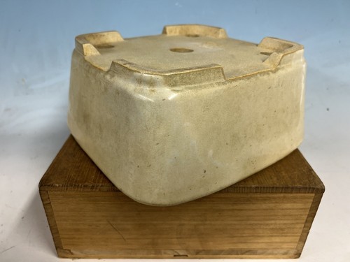 Cream Semi Cascade Glazed Tokoname Bonsai Tree Pot By Koyo 9 7/8 By 4 1/4” - Picture 11 of 12
