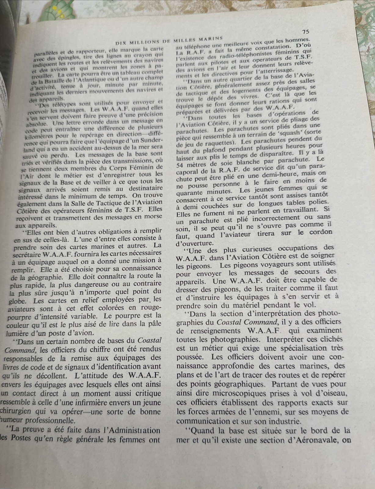 Imagen 10 de 11