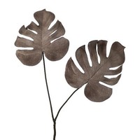 artplants Deko Zweig Philodendron Seldef, Anthrazit, 50Cm