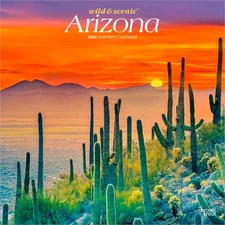 Arizona Wild & Scenic | 2026 12x24" (Hanging) Wall Calendar | Plastic-Free