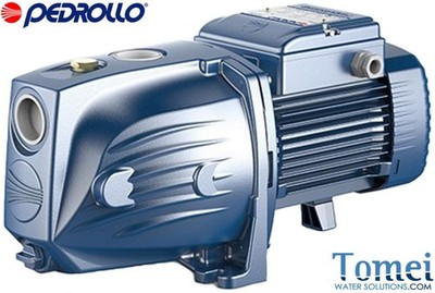 JSWm 3BL Selbstansaugende Wasserstrahlpumpe Jetpumpe waschanlagen 230 V PEDROLLO