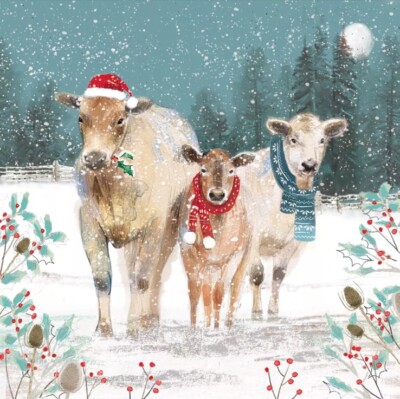 Boîte De 20 Cartes De Noël Caritatives Artistiques – Vache