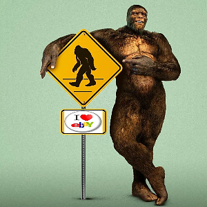 SasquatchPicker | eBay Stores