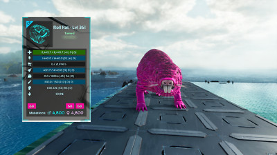 ARK Survival Ascended PvE - * TOP STATS SOLID * Roll Rat Pink