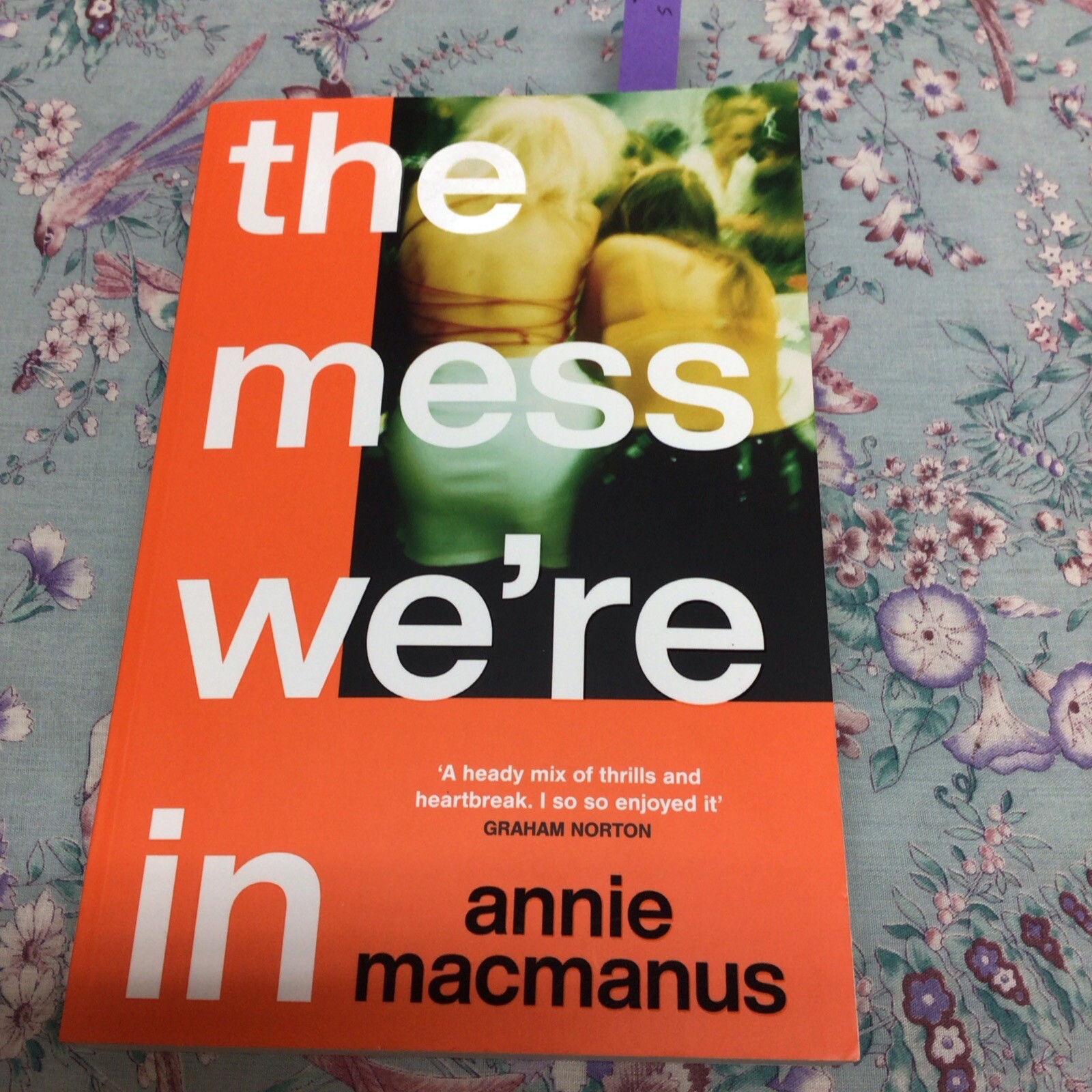 The Mess We're In: A beautifully nostalgic story  - Paperback