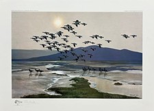 Peter Scott - In Flight - S/N Litho  Signed - MINT w/Original Drawing on Border