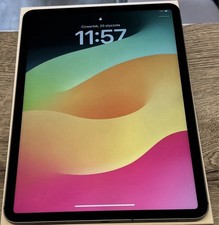 apple ipad pro 11  4a gen 256 GB Wifi+ Cellular