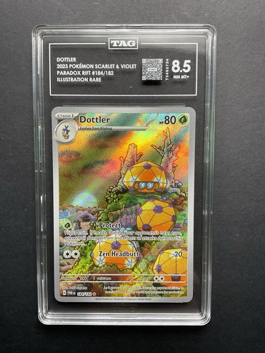 Dottler graded TAG 8.5 for sale on eBay