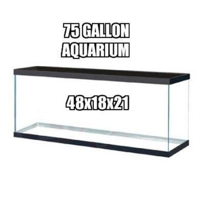 75-gallon & Smaller GLASS Aquariums Small Pet / Reptile / Fish Tank - Pro Grade