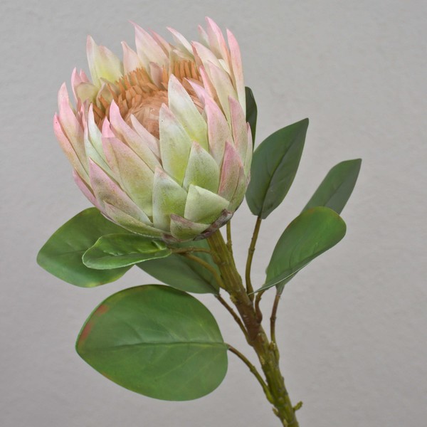 Artplants Kunst Blumenzweig KöNigs-Protea Tanieka, GrüN-Rosa, 65Cm-image