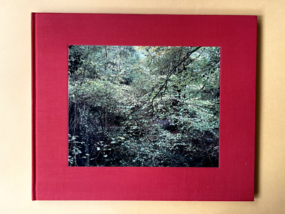 洋書 Jem Southam / The Painter's Pool Jem SOUTHAM / THE PAINTER'S POOL 1st Edition 2007 | eBay