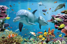 Tropical Underwater- Ocean Sea Life - Nature Poster (Dolphins, Sea Turtle...)