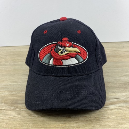 Youngstown State Penguins Hat NCAA Size 
