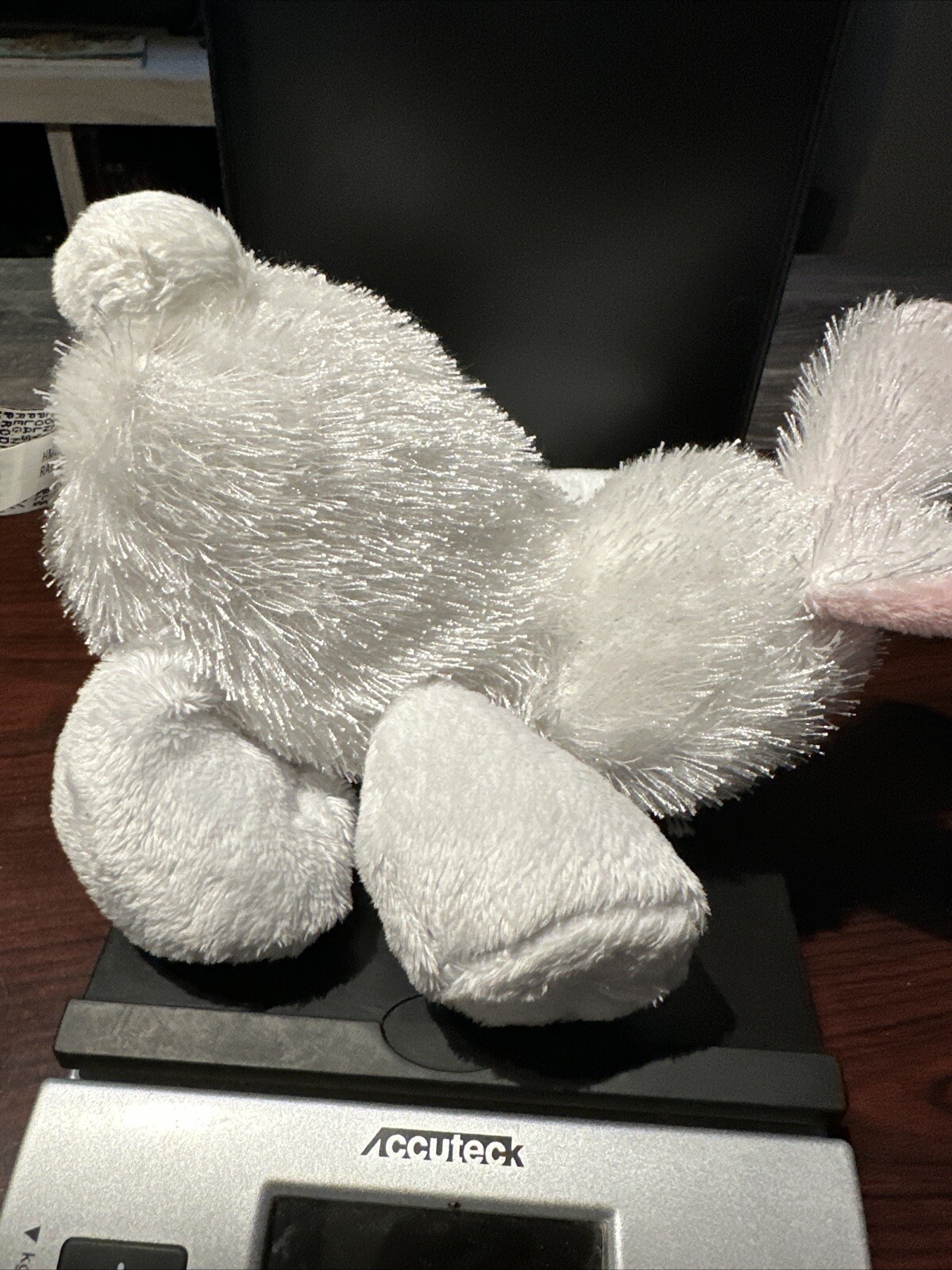 Picture 5 of 5