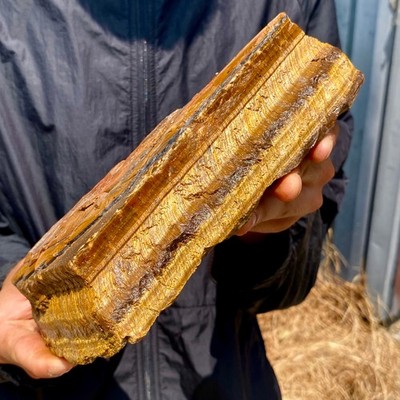 3.59LB Natural tiger's Eye rough raw stone rock specimrn madagescar
