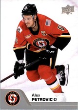 2020-21 Upper Deck AHL #13 Alex Petrovic - HKY