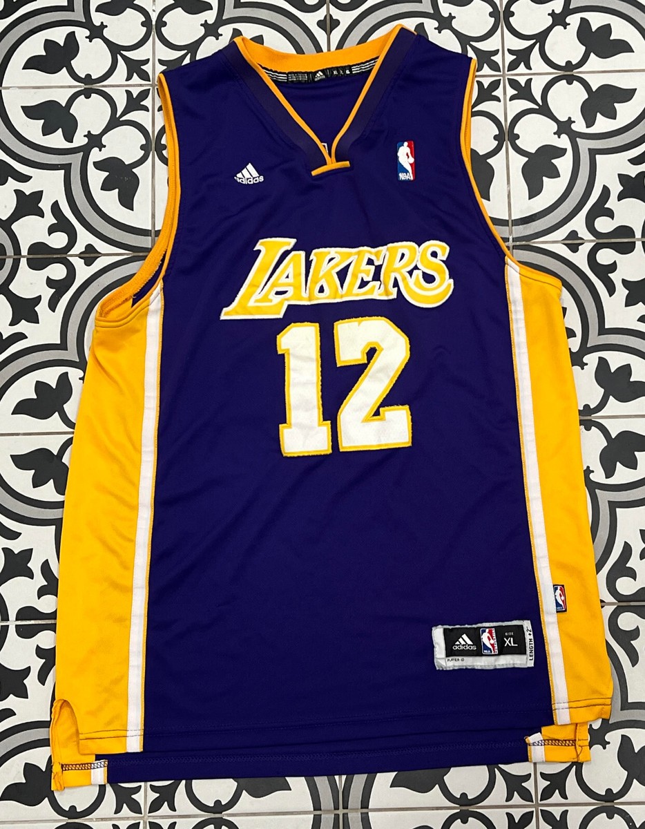 Dwight Howard Los Angeles Lakers Stitched Adidas NBA Basketball