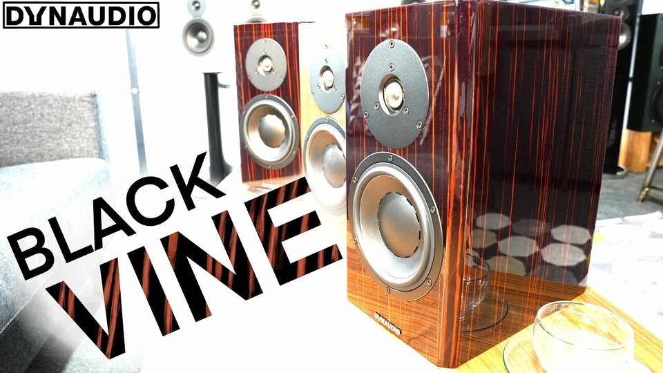 DYNAUDIO SPECIAL FORTY 40 BLACK VINE COPPIA DIFFUSORI GARANZIA UFFICIALE - Immagine 3 di 4