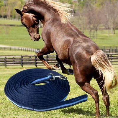 Horse Dog Training Leash 8 Meter Super Strength Heavy Duty - Bild 1 von 4