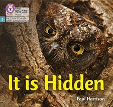Paul Harrison It is Hidden (Paperback) (UK IM...