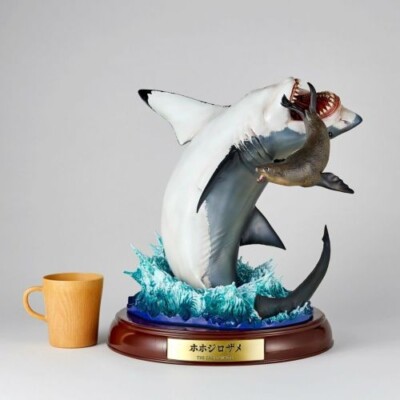 SUP PADOBO Ke'e Shark 9'3\