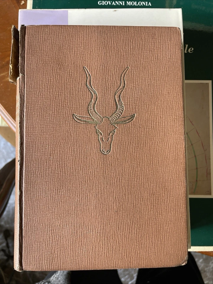 Vittorio Tedesco Zammarano - Impressioni di caccia in Somalia italiana - 1929 r - Immagine 3 di 4